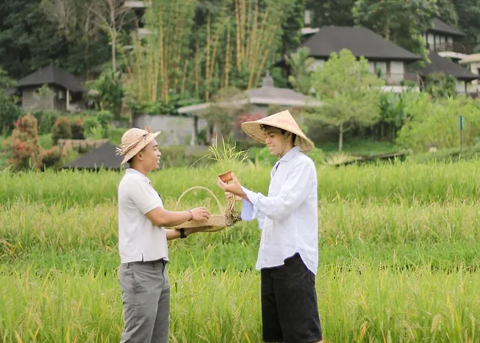 Homm Saranam Baturiti 5* Bedugul (Bali)