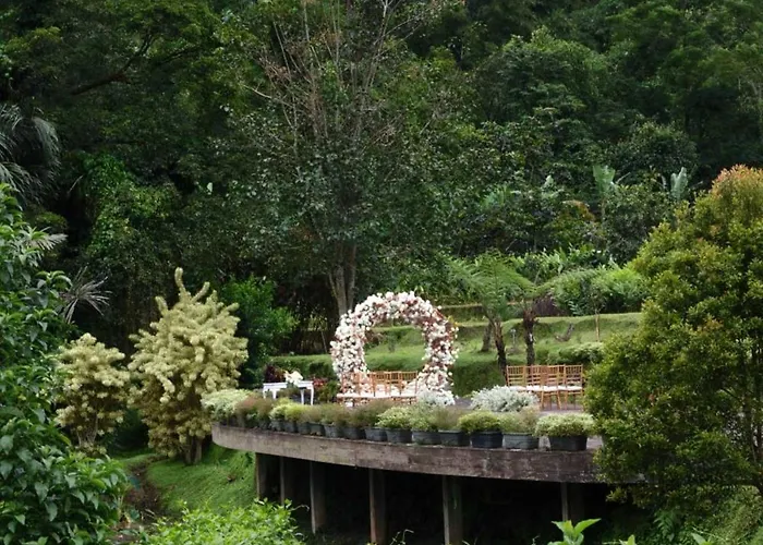 Homm Saranam Baturiti